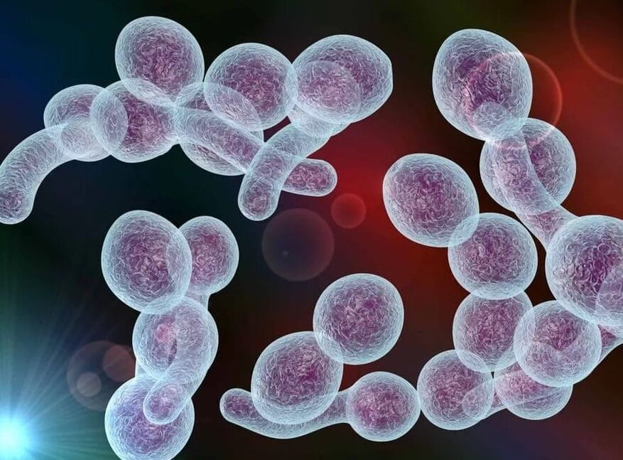 Prostatită bacteriană